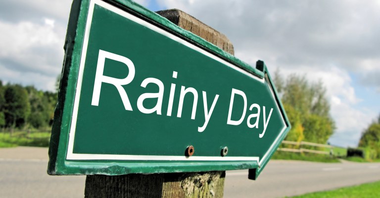 Things to do on A rainy day in the New Forest