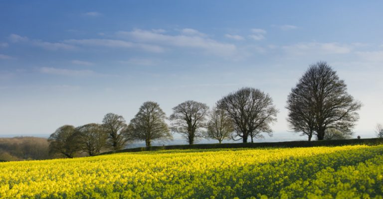 Lincolnshire Wolds