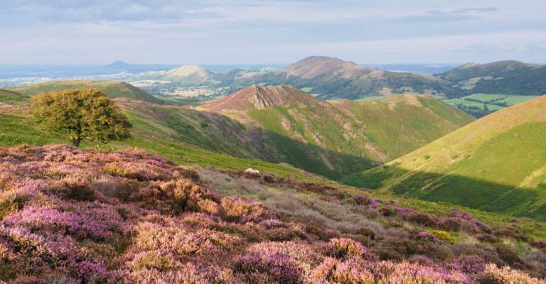 Long Mynd, Shropshire