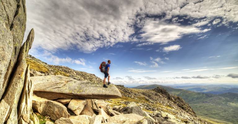 Walker on Gylder Fach