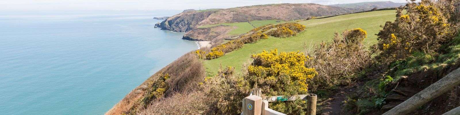 Holiday Cottages In Ceredigion To Rent Self Catering Ceredigion