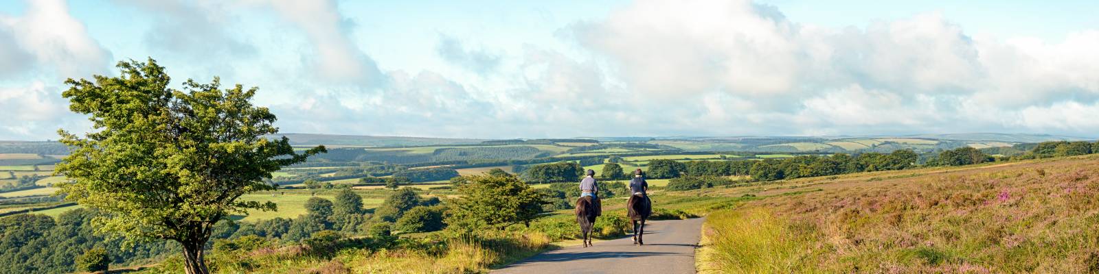 Self Catering Holiday Cottages With Stables To Rent