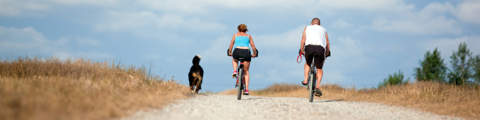 Book a dog friendly cottage in the North York Moors