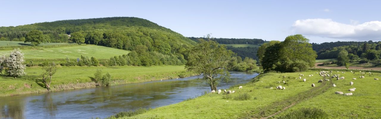 Kington