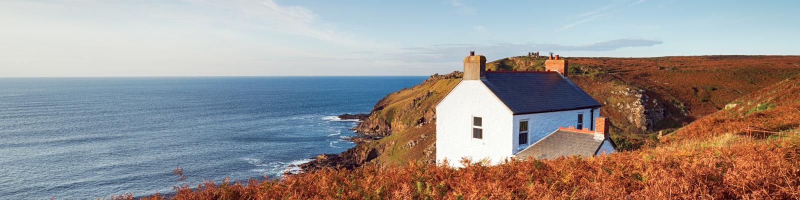 remote dog friendly cottages