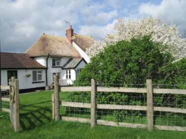 Through the garden gate