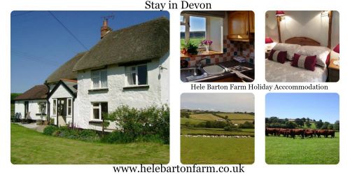 Hele Lane cottage collage