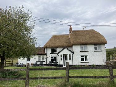 Newly thatched 2925