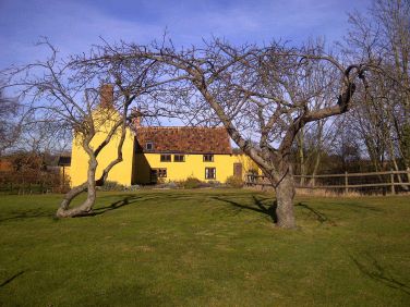 The south facing back garden