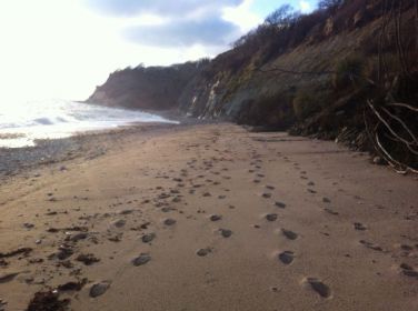 Access to beach (shingle and sand)