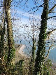 View from the under cliff on a crisp January day