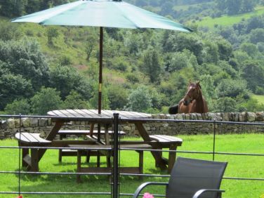 Views from the Coach house