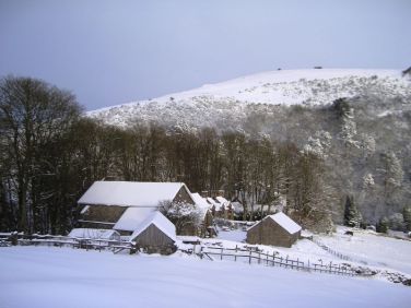 Snowy Swainsley Farm