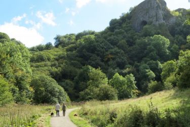 Cycle the Manifold Valley.