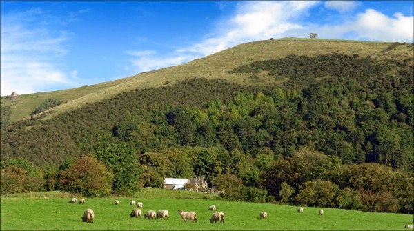 Swainsley Farm - The Coach House