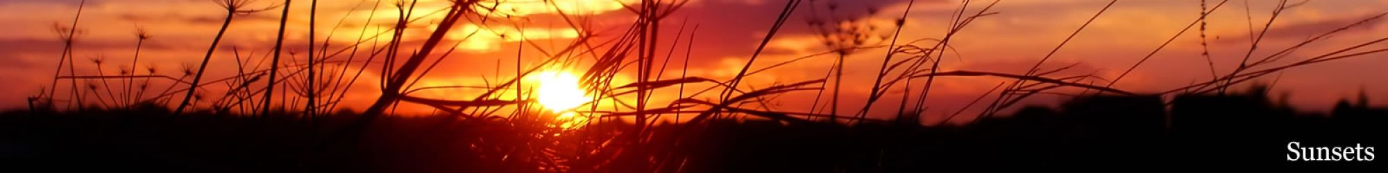Sunsets