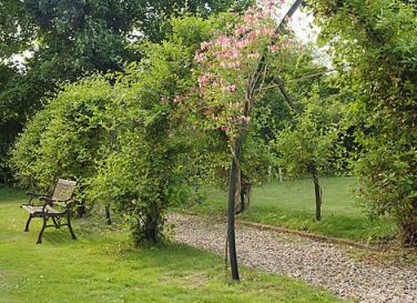 Plenty of outside space to relax