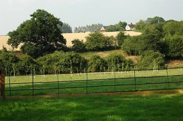 Orchard and surrounding countryside