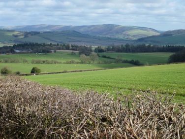 Long Mynd view over cottages, mid left.