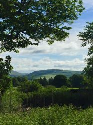 View from patio wall