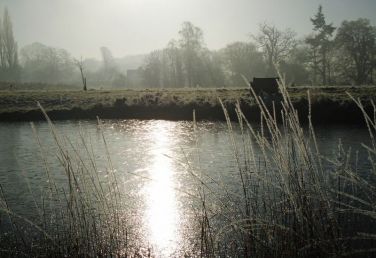 The Atmospheric Wildlife Pond