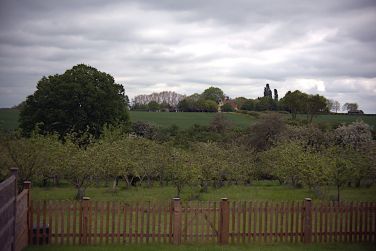 View from the garden