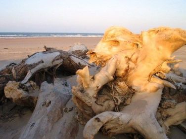 Goswick Old Farm Cottage