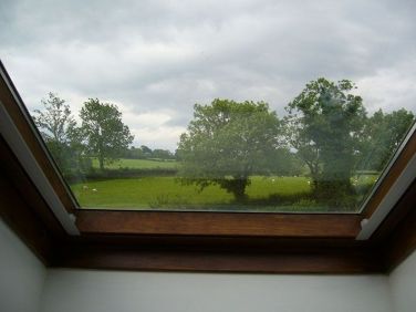 View from Velux