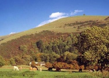 Swainsley Farm - The Haybarn