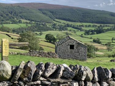 Great choice of  dog friendly walks locally