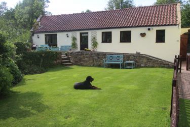 Diving Duckling Cottage