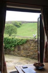 View from patio door