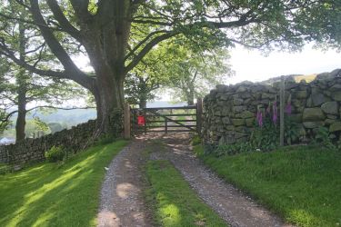Bridle path walking distance from the cottage