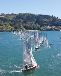 Near Salcombe, famed for its sailing