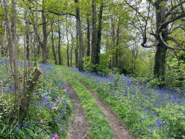 Beautiful countryside walks all year round