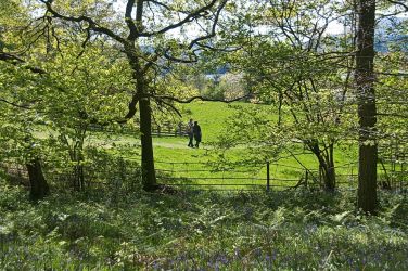 Beautiful walks, straight from the door - Holbeck Ghyll
