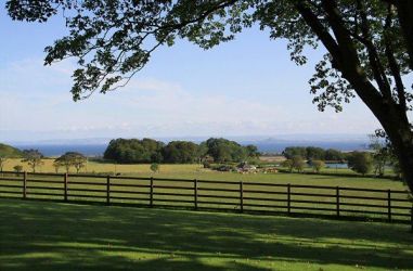 View from the window