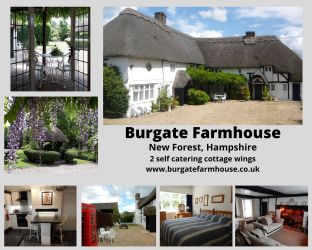 Collage of photos for Little Thatch