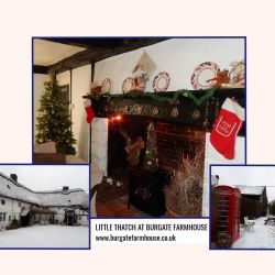 Christmas photos for Little Thatch