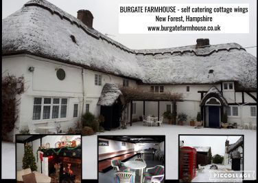 Christmas collage of photos (both cottage wings are decorated for Xmas/Twixmas/New Year period)