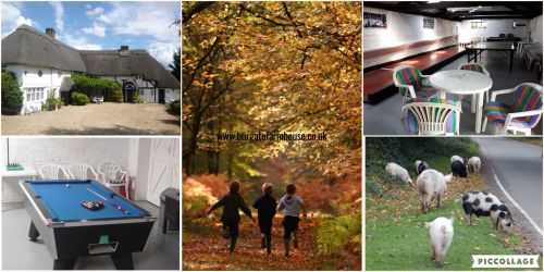 Autumn collage of photos