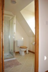 Large shower room and toilet