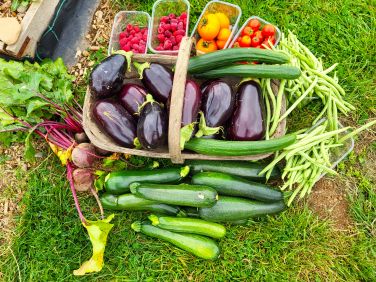 Some of our own produce