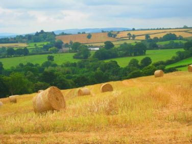 Little Cowarne Court