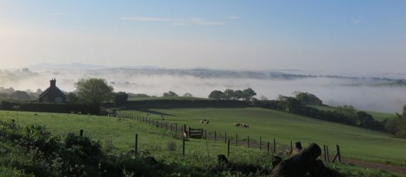 Little Cowarne Court