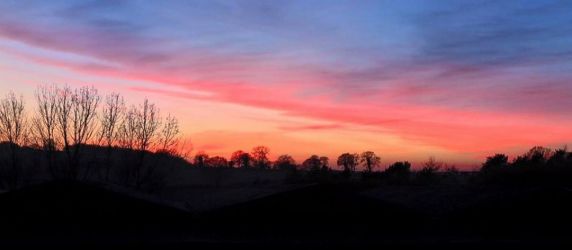 Little Cowarne Court