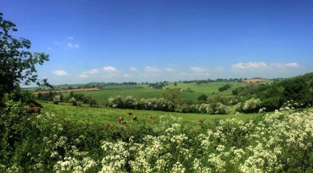 Little Cowarne Court