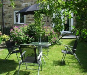 Badgers rear garden