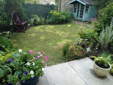 Badgers rear garden