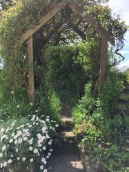 Entrance to Honeysuckle Garden